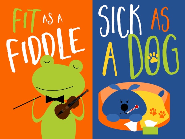 Fit As A Fiddle, Sick As A Dog